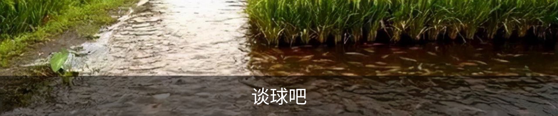 谈球吧·体育(中国) app下载